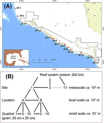 Small-Scale Variability Dominates Benthic Coverage and Diversity Across the Jardines de La Reina, Cuba Coral Reef System